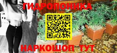 jwh Татарск