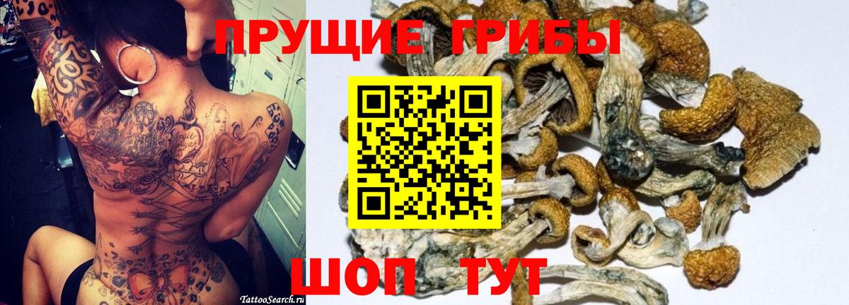 Псилоцибиновые грибы Psilocybine cubensis Лангепас